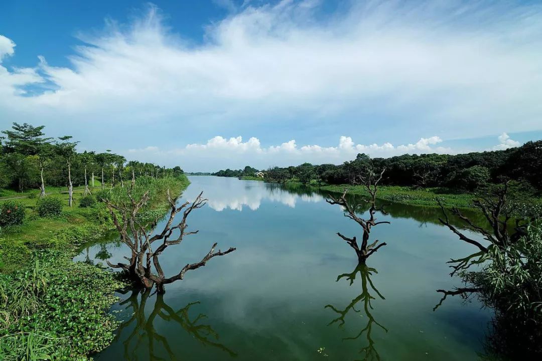 广州鹤之洲湿地公园游玩攻略简介,增城凤凰古城一日游最佳去处