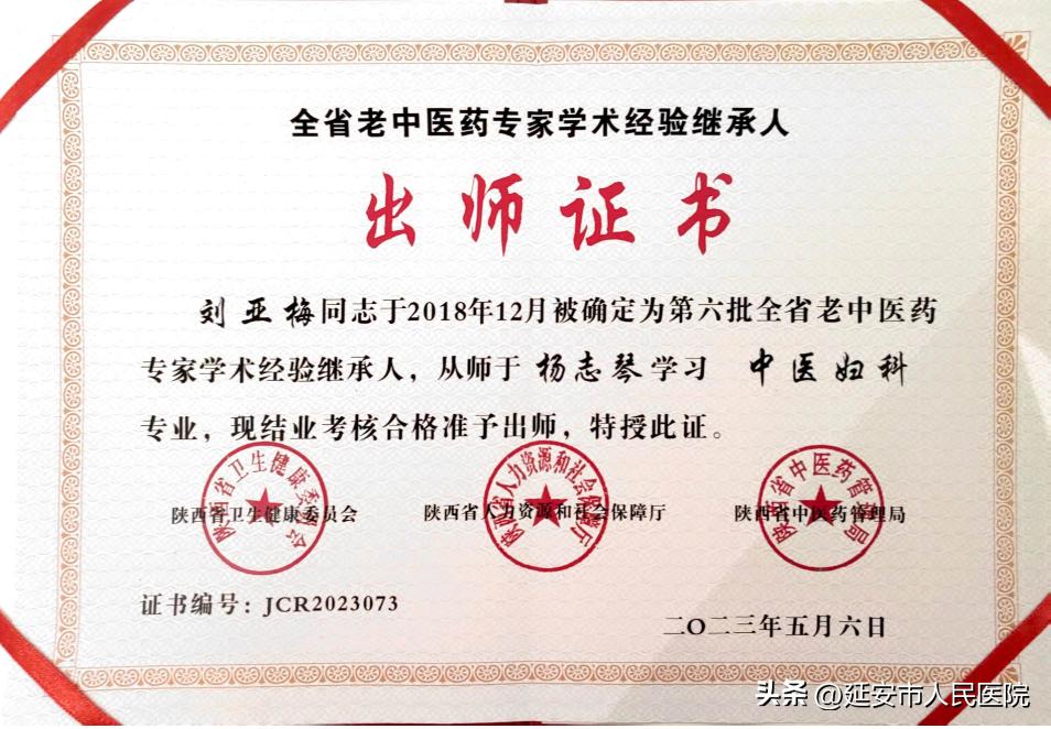 杨志琴医生,中医杨志琴