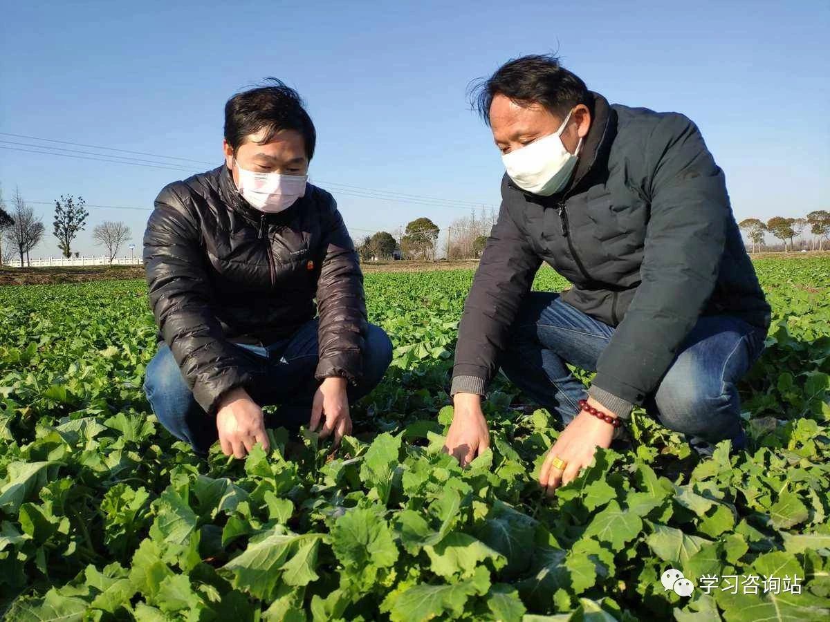 农业技术员招聘要求,农业技术员申报条件