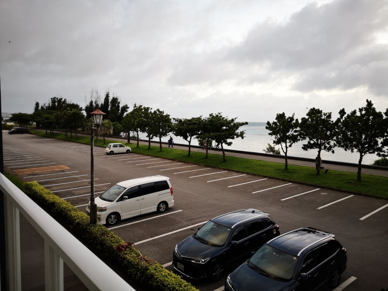 暑期档2019年,2019年暑期档