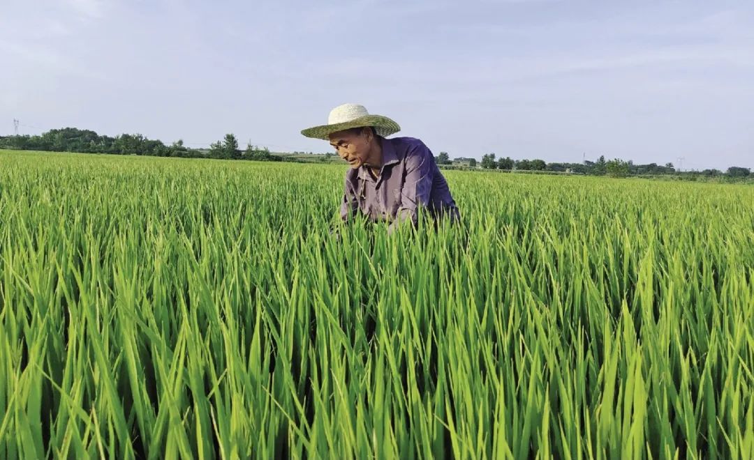 16年攒角子钱还清百万债务！宜昌的他，感动中国