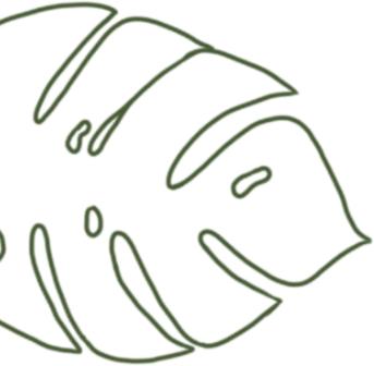 揭秘纯露的真面目,怎么判断纯露是不是纯正的