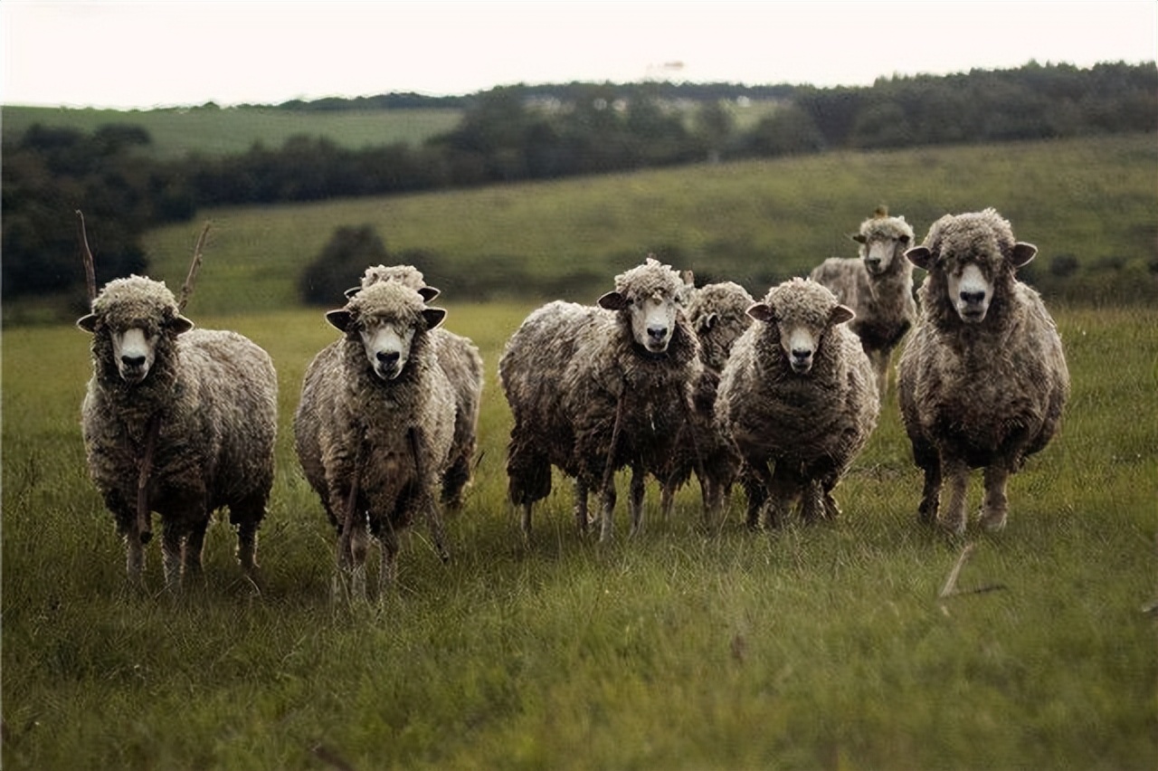 英国的对外贸易战略是什么,英国贸易的方式是怎样的