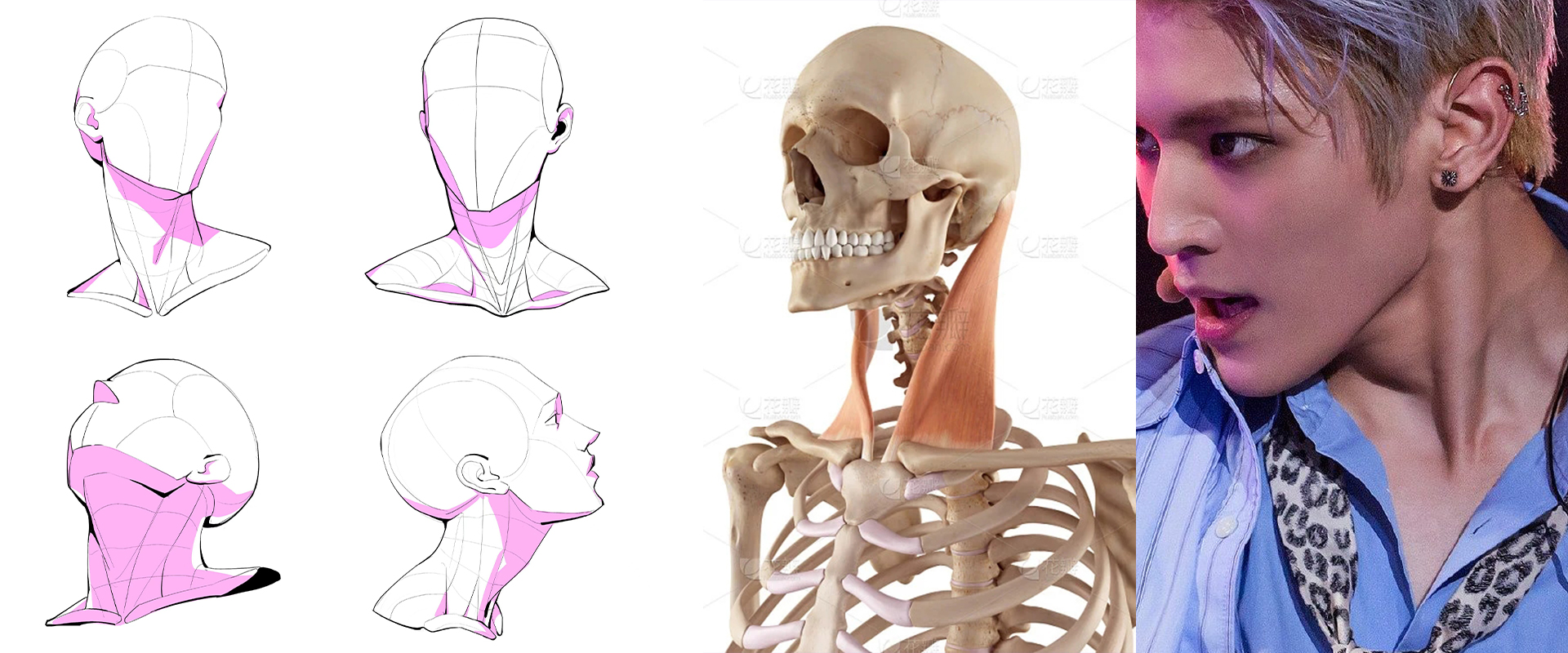 脖子该画在哪,怎么画男生的脖子