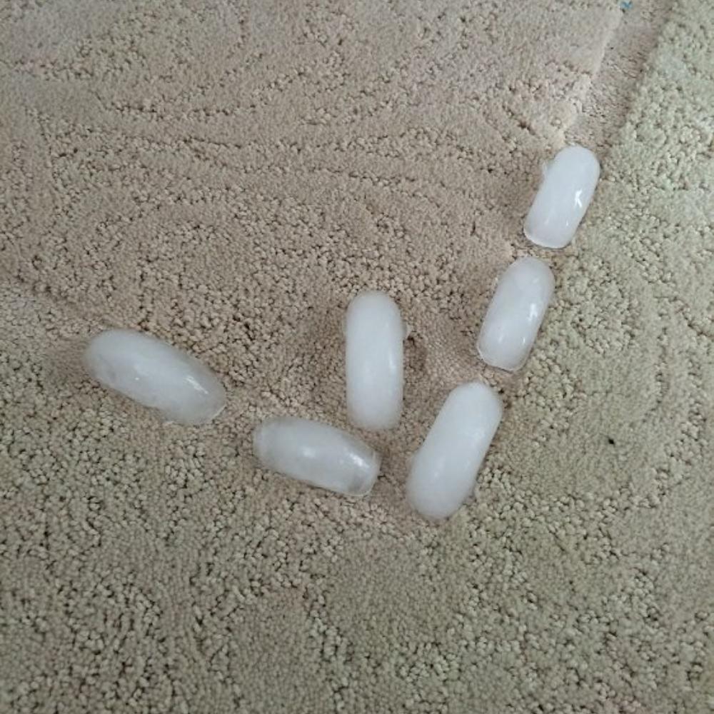 鏁欎綘瑙ｅ喅瀹跺涵闂,100涓搴慨鐞嗗皬濡欐嫑