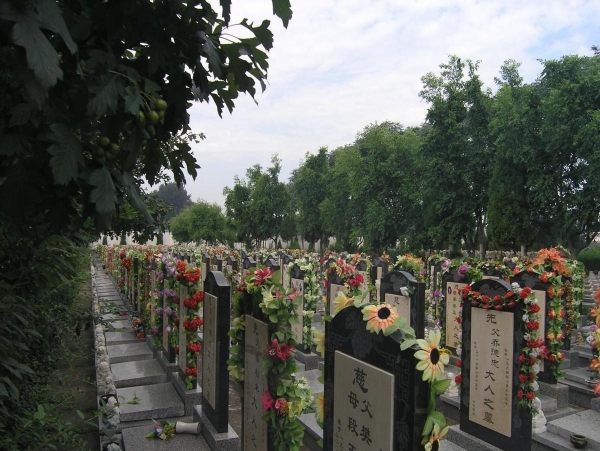 购三代人公墓20年后管理费怎样收,购买了公墓还需要拿管理费吗