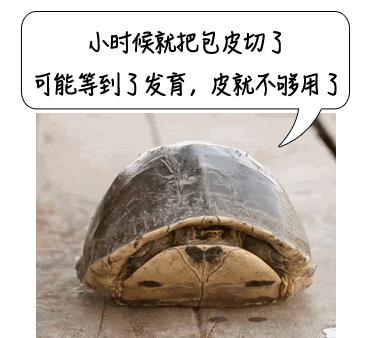 割吗?割啊!我在割包皮的医院走廊,唱完整首孤勇者