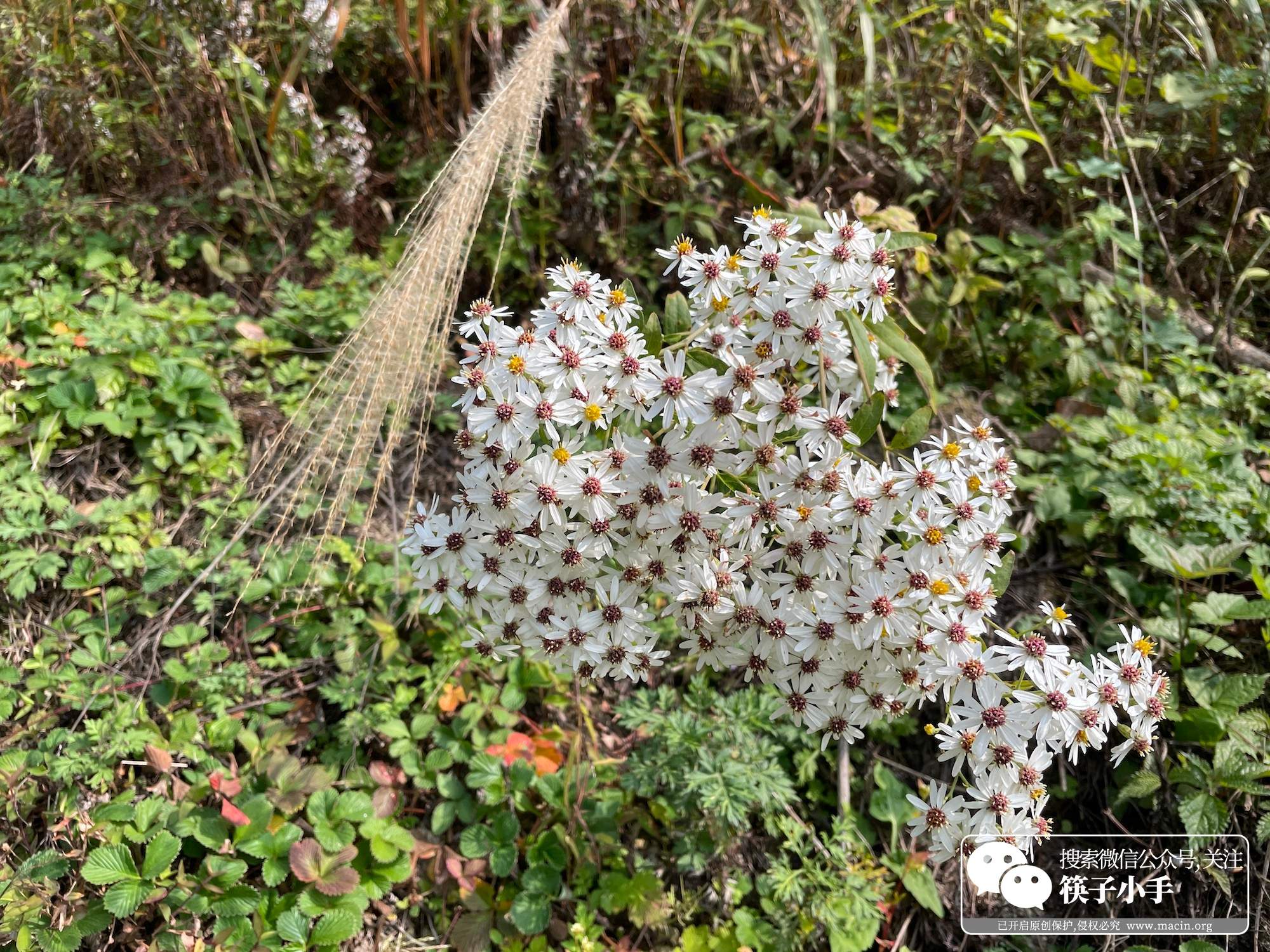 悬崖村步行道原来的样子,凉山悬崖村徒步