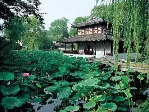 100种绝美中国符号惊艳世界,中国100种符号