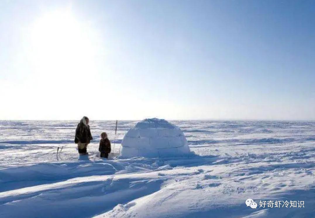 冷焰火并不冷？梦中梦是怎么一回事？提升御寒能力的食物？
