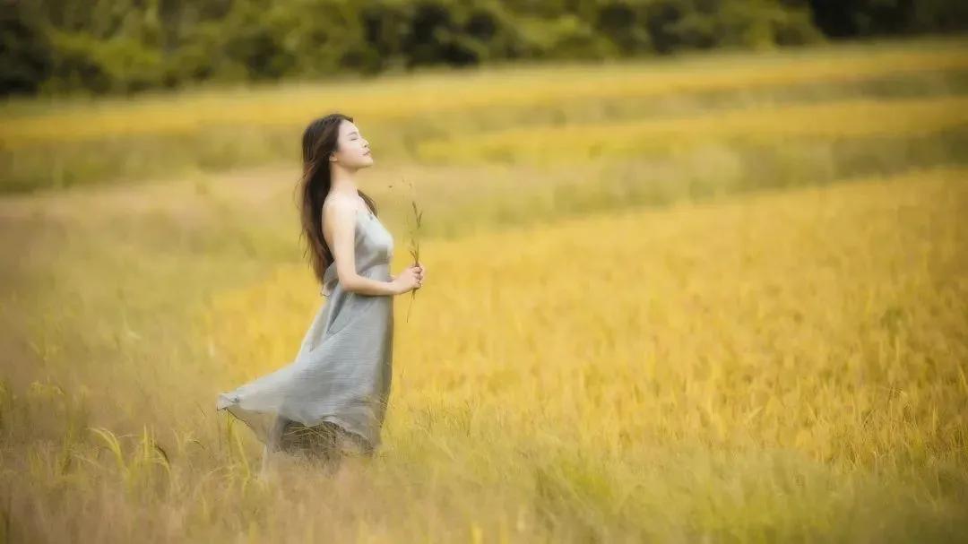 以儒治世以佛家治心,以佛治心以道治身以儒治世