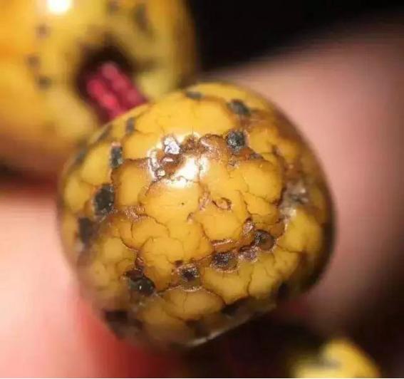 星月假开片,怎么判断星月是真是假