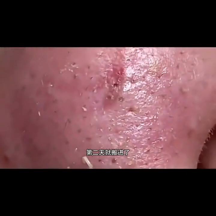 日常系美剧小说,免费看小说的日常