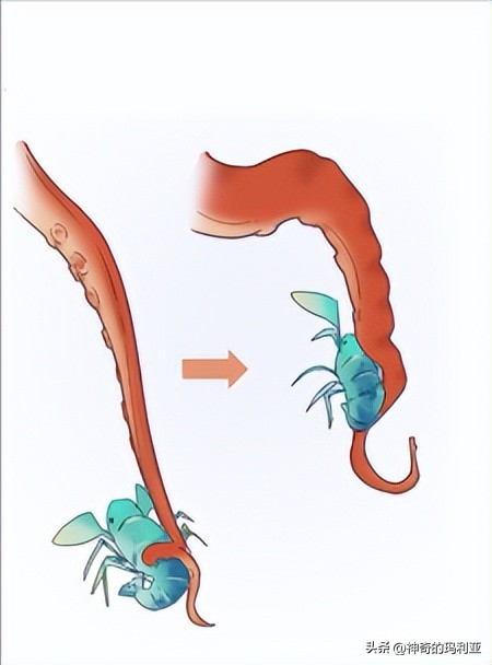磁性响应水凝胶,光热效应水凝胶