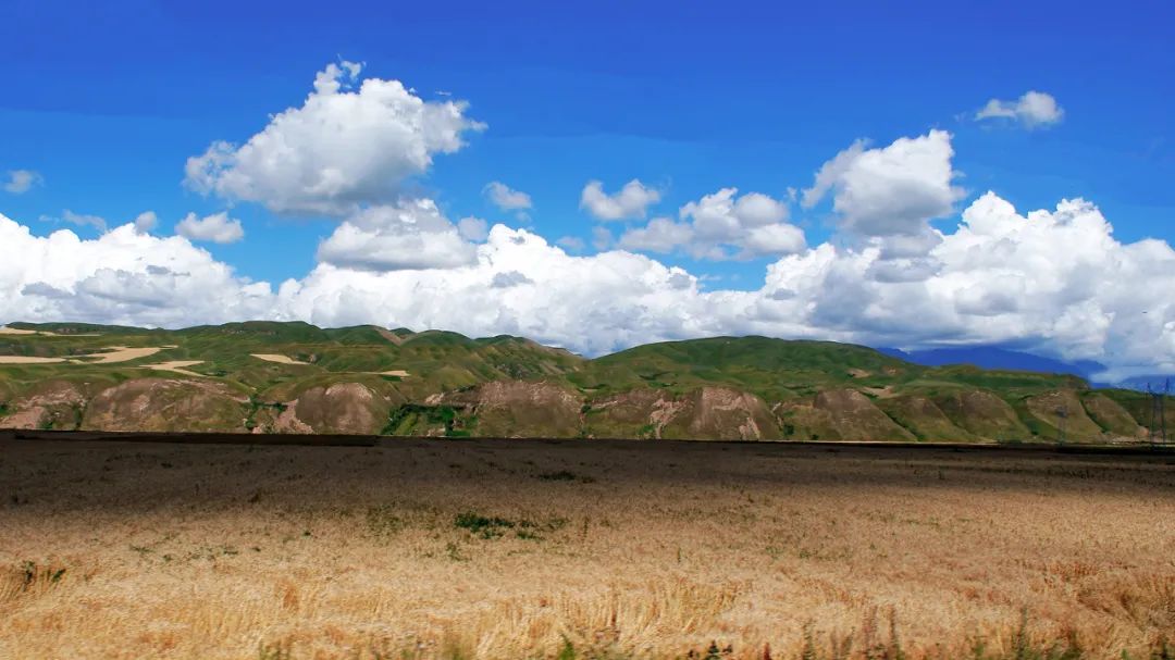 疆旅之旅,新疆新旅程旅行