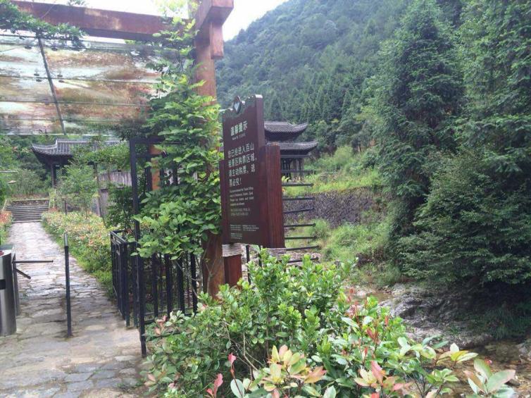 上海周边夏季旅游避暑好去处自驾,夏天上海周边旅游推荐自驾游