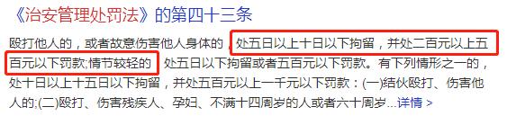 两乘客坐飞机高空中斗殴,飞机场互殴事件