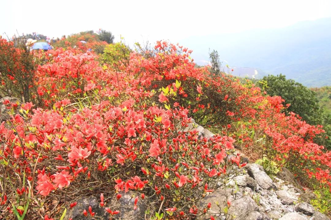 附近旅游攻略国内推荐3到4天,周围免费旅游景点推荐