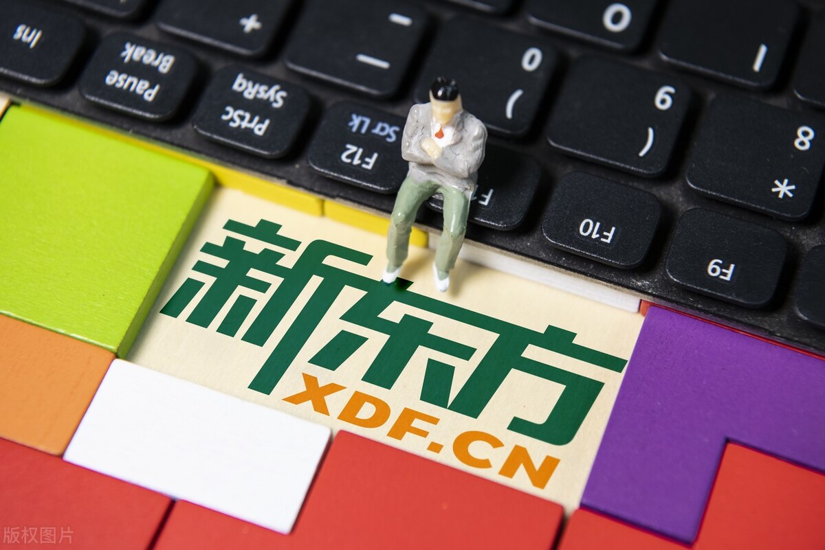 罗永浩退出社交平台创业,老东家新东方直播卷出高度,股价暴涨