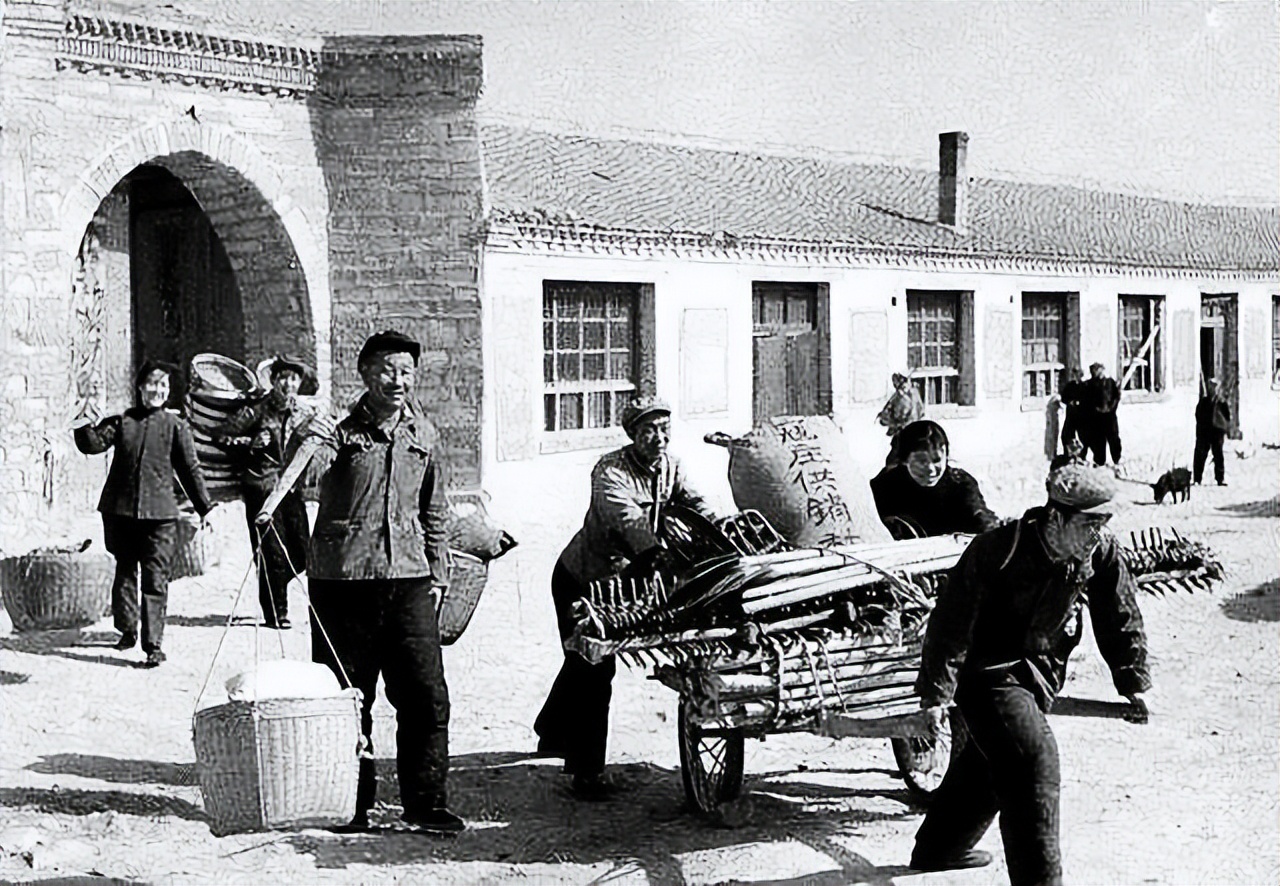 田伟岭：我的供销合作社情结,散文