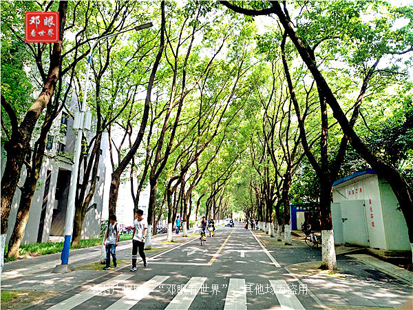 武汉大学跟湖北大学哪个更出名,武汉大学和华中科技大学环境不错