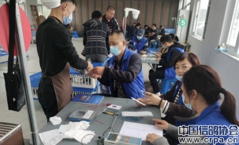 世界杯总决赛7-1,世界杯总决赛后半场回放