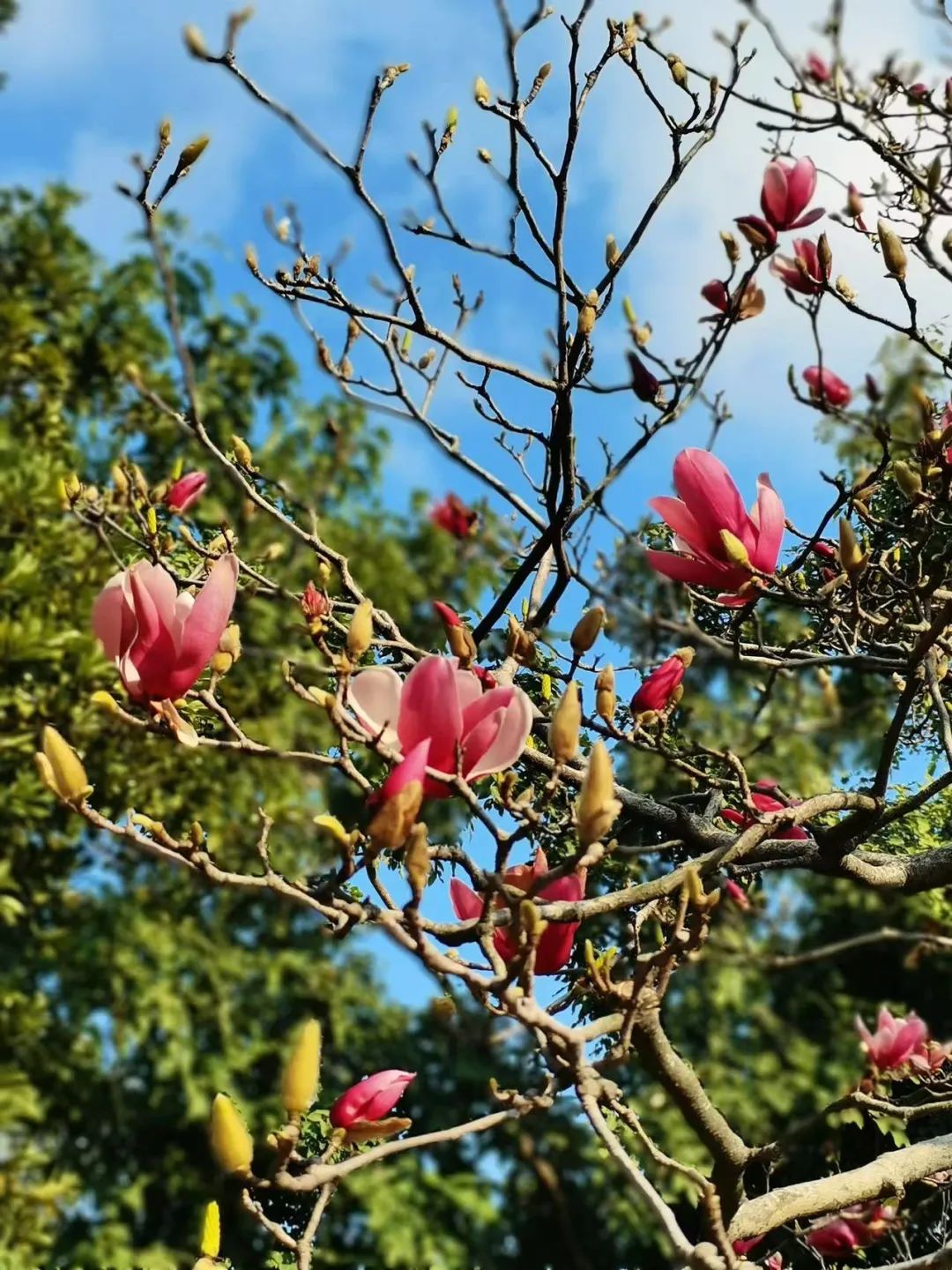 广州云栈道徒步路线,云中漫步广州