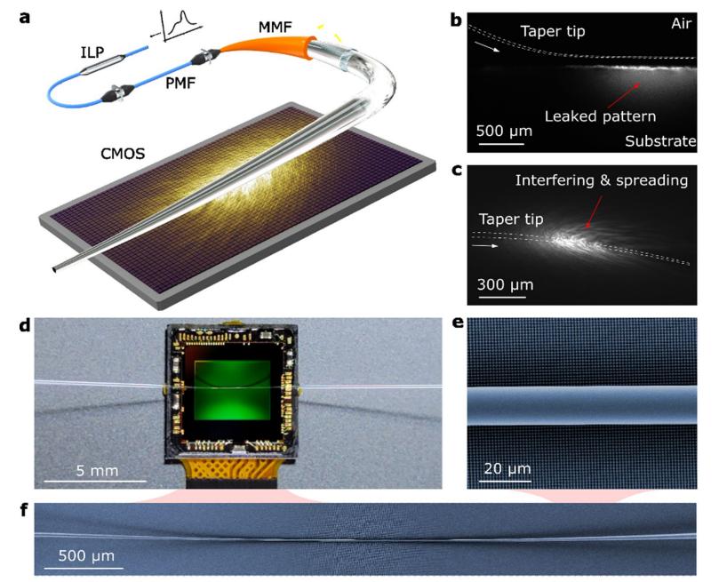 浙大微型光谱仪,浙大量子点光谱仪