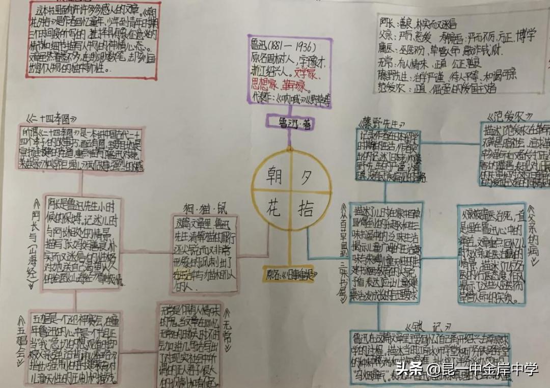 融合创新采撷精彩——《朝花夕拾》之重回百花园，绽放生命的美
