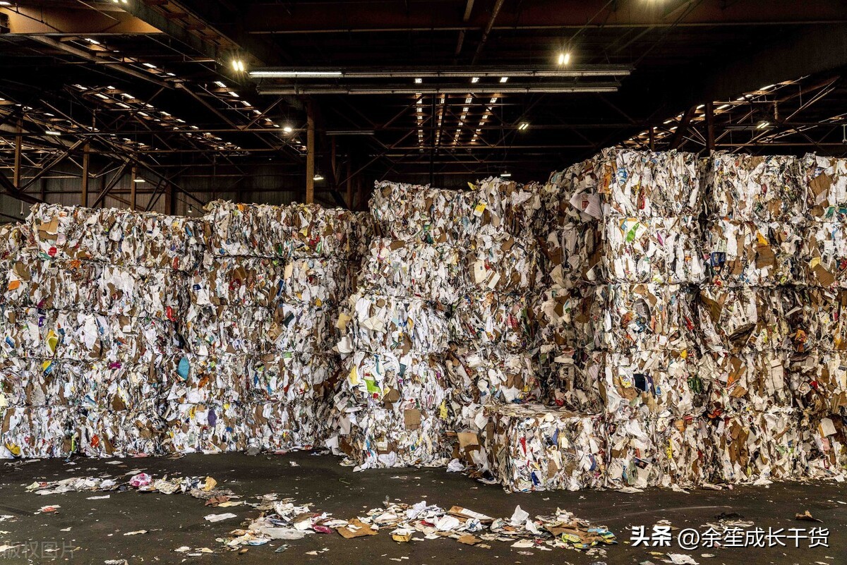 2024年做什么行业赚钱有前景,现在最吃香的行业有哪些比较赚钱