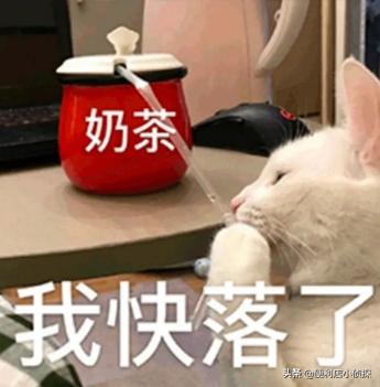 喝一杯不加糖的奶茶会胖吗,喝奶茶几分糖比较不容易胖