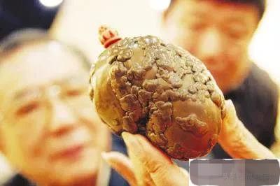 养了15年的狗突然不认识了,成年狗养了3天能找到家吗