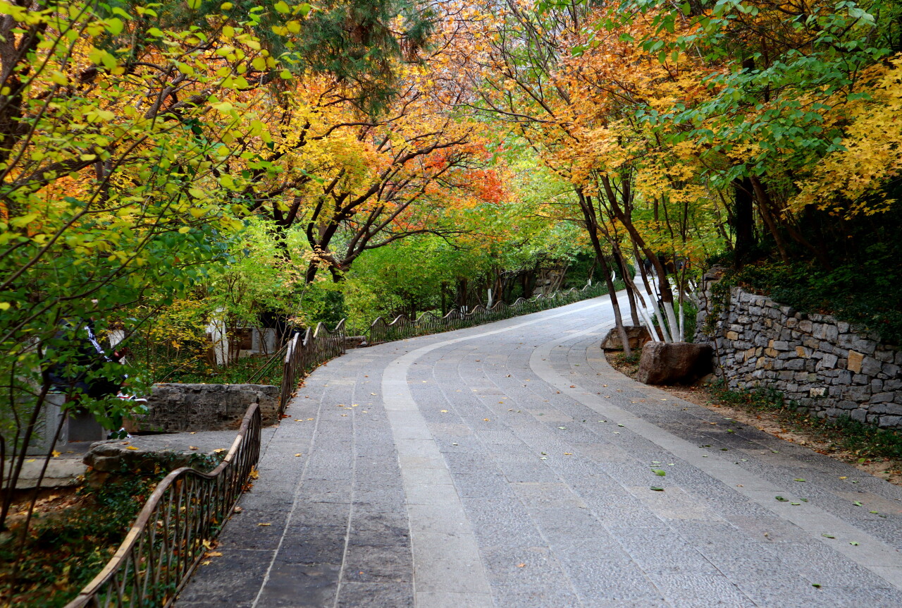 济南必打卡之地金秋时节,济南冬季打卡旅游胜地