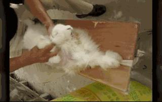 靠审丑年销500万双，这家爆火鞋牌，凭什么带火中国小村？