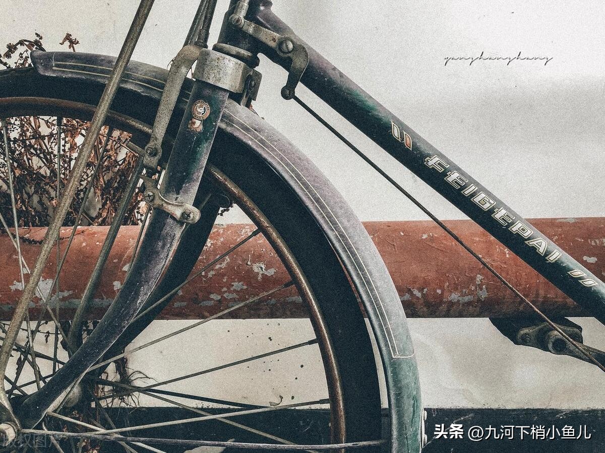 飞鸽自行车经典车型有哪些,飞鸽旗下自行车品牌有哪些