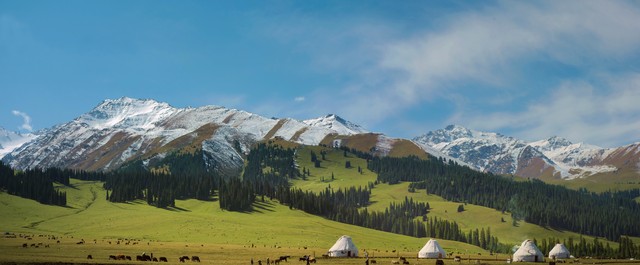 小学生暑假旅行推荐方案,暑假二十天带孩子旅游计划
