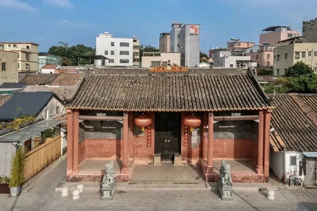 端午假期光明活动超精彩！音乐live、摘荔枝、包粽子……等你解锁！