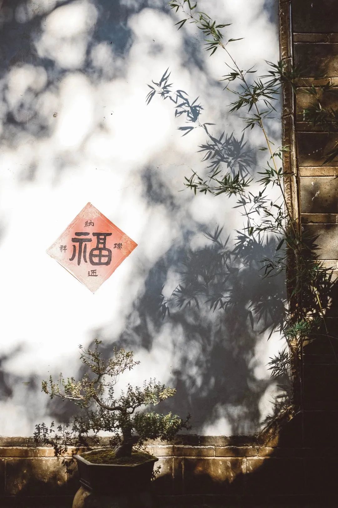 丽江古城现在冷不冷,丽江古城冬无严寒