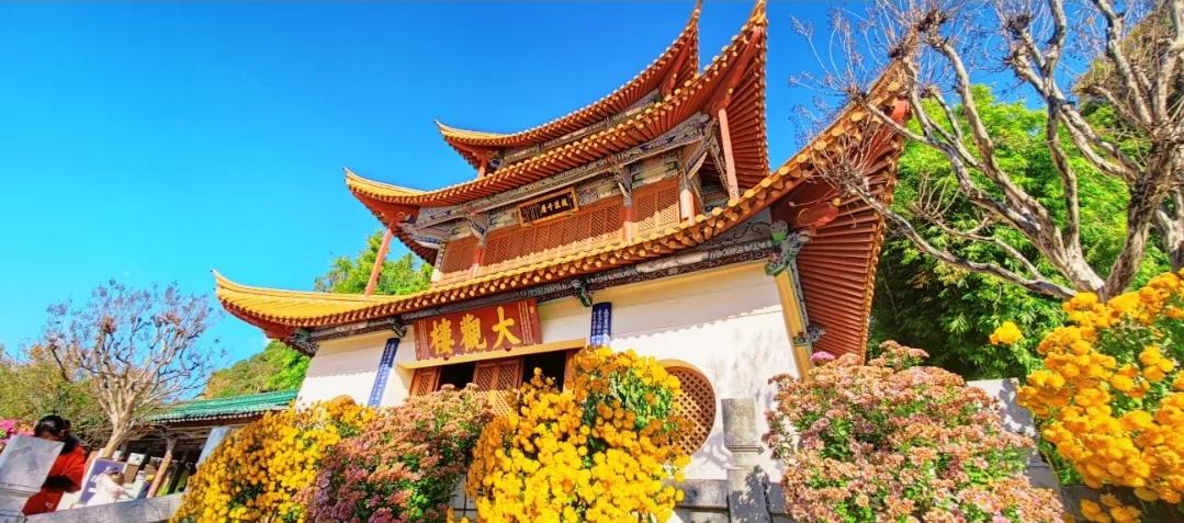 昆明西华公园海棠花,昆明市免费公园有几个