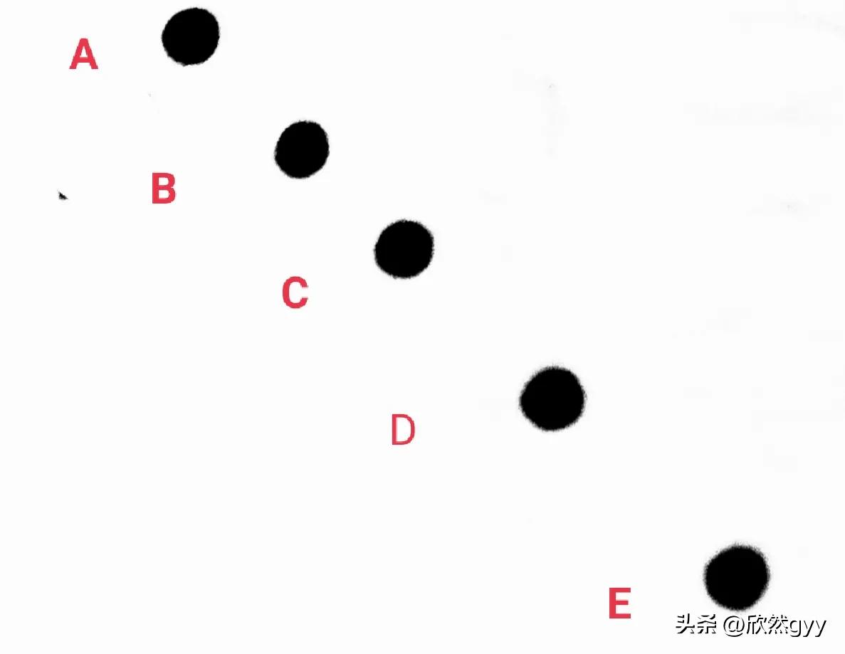 期中考试数学必考的题哪一些,期中考试易错题有哪些类型