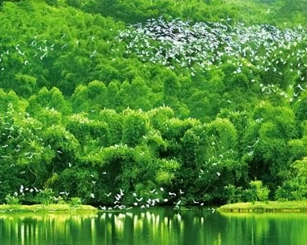 多元共治生态治理模式,多元共治的生态治理模式