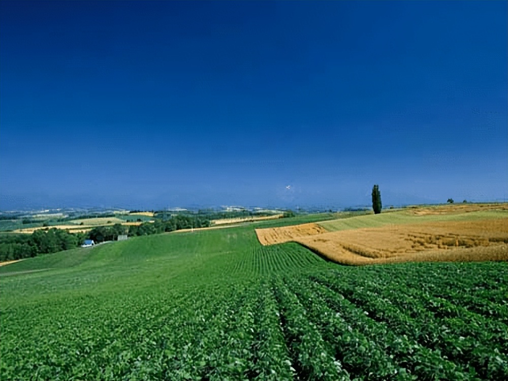 没有地的农民能向政府申请开荒吗,没有土地的农民怎么申请宅基地