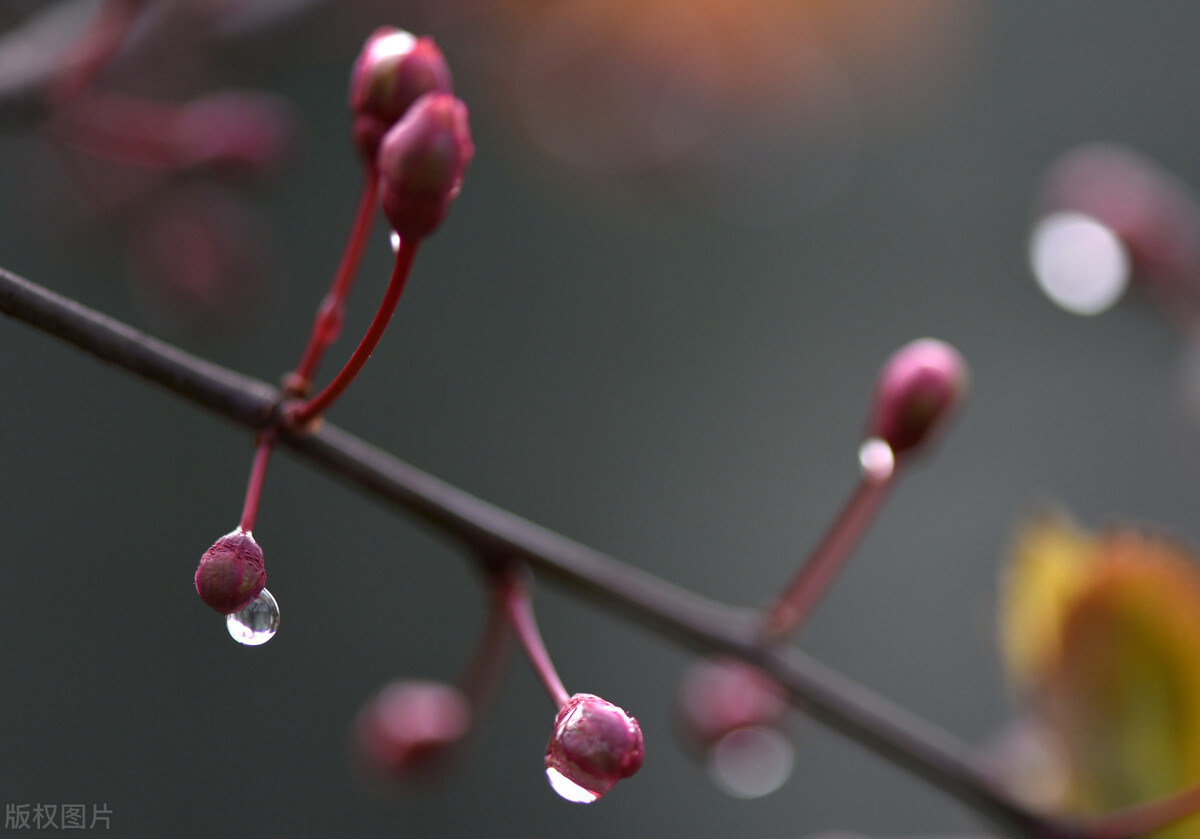 中医前列腺炎秘方验方,中医治疗前列腺炎医案分析