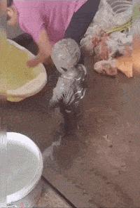 女生在公共场合故意让你难堪,现在的女生一点自知之明都没有