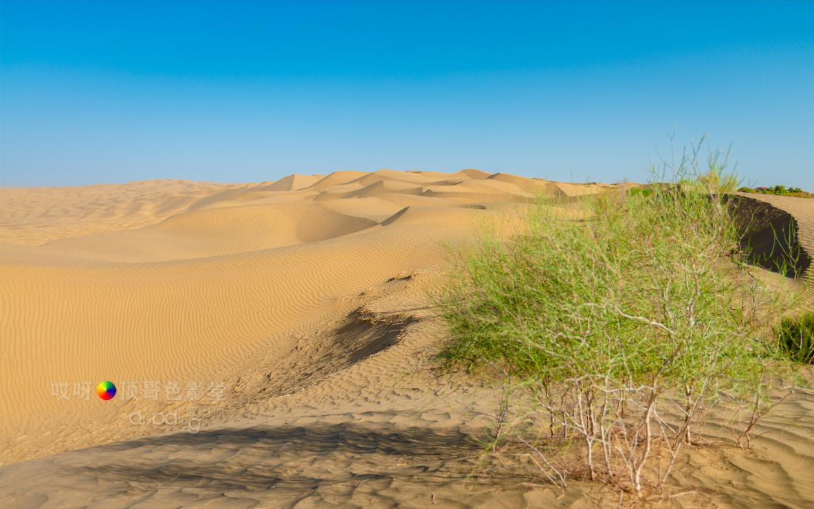 女司机带娃去新疆自驾游,带着女司机自驾游兰州