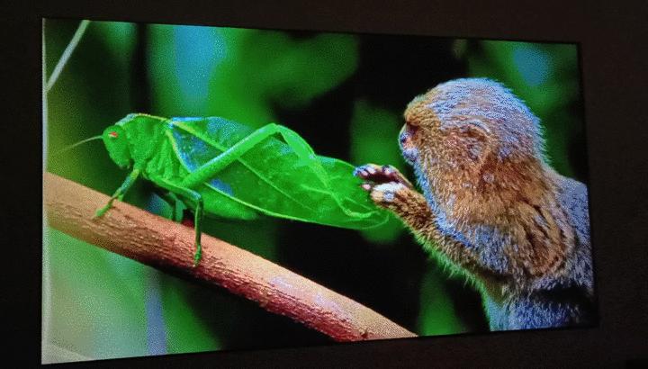 知麻z1pro投影仪测评,知麻z1投影仪测评