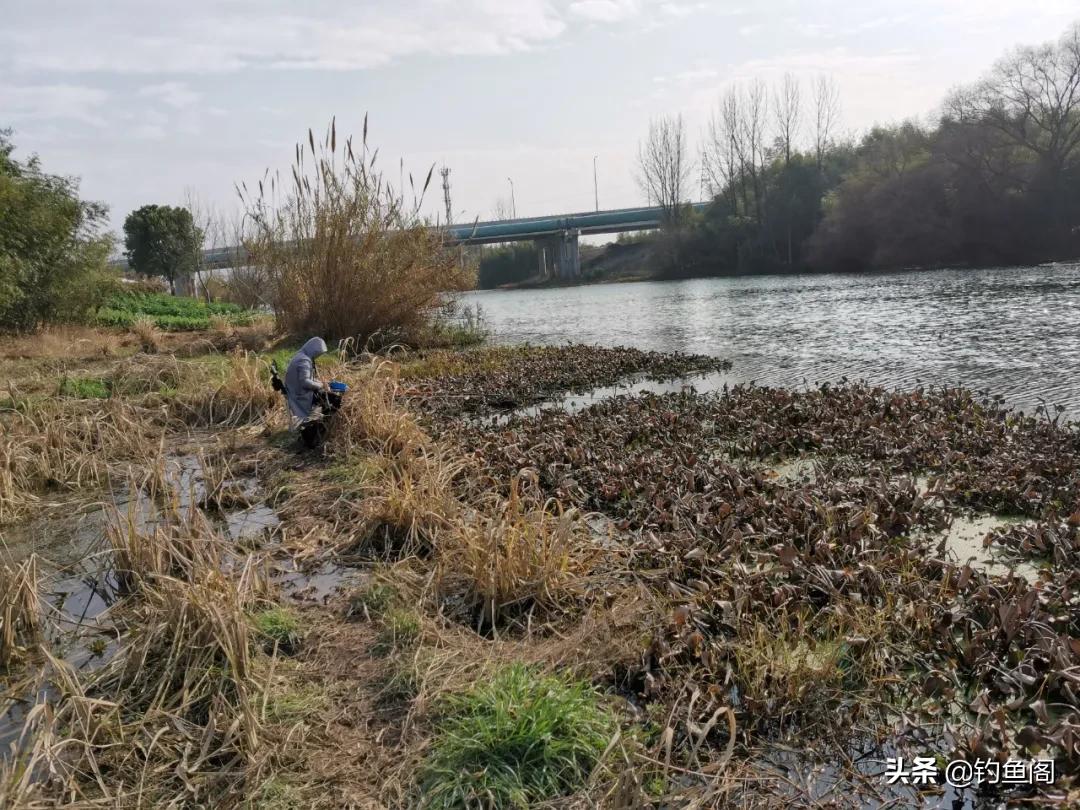 冬天野钓鱼不开口跟什么有影响,深秋野钓鱼不开口怎么办