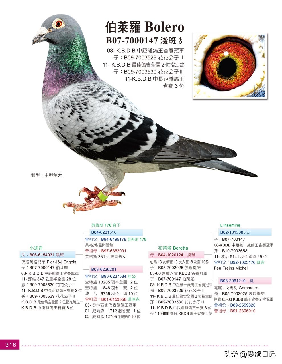 依天迪沃斯席丹号，伯里斯鸽系的起点