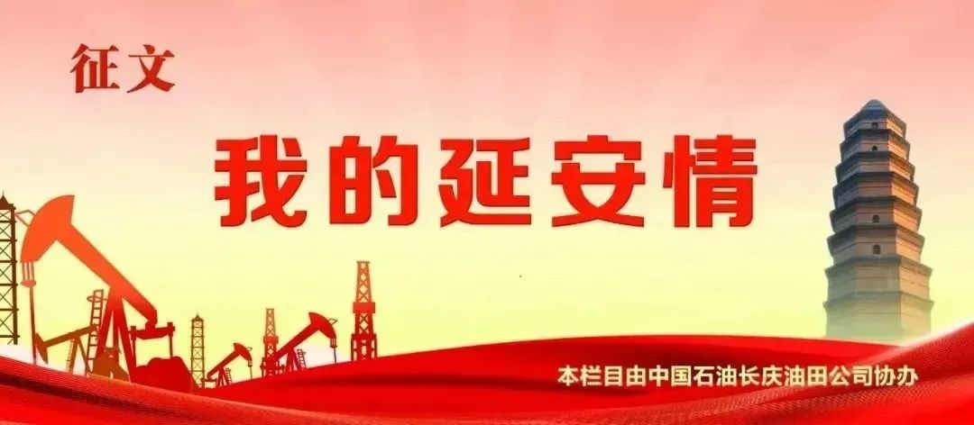 丹凤朝阳山丹丹花开,又见山丹丹花开