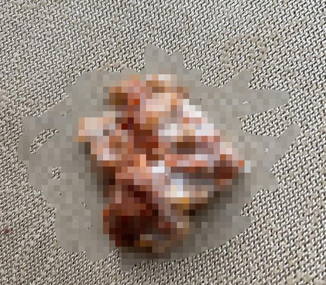 宠物医院狗狗吞针怎么办,宠物医生狗狗吃老鼠药